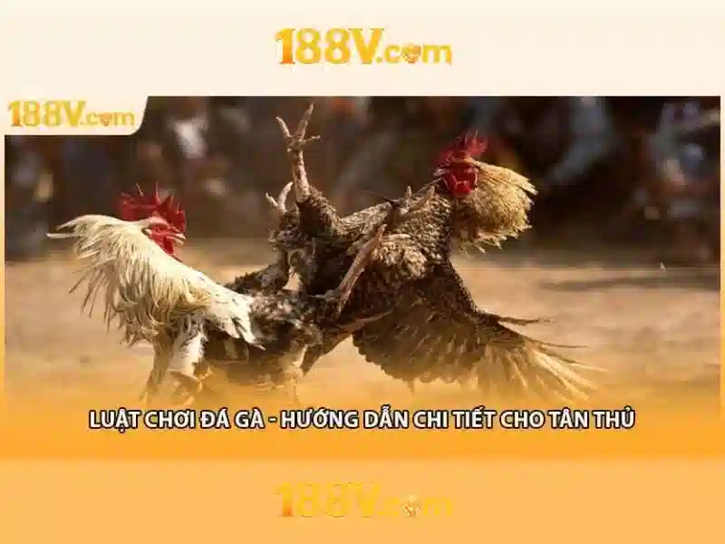 Nhà cái 12BET - Link vào Nhà cái 12BET mới nhất 2020 | Winnhacai.com