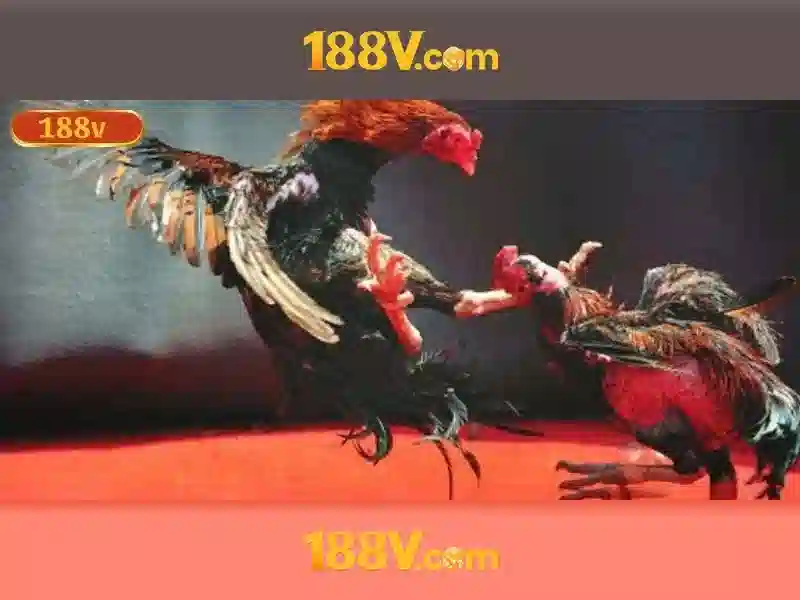 Minh hoa quy trình xác thực khi đăng nhập 188v
