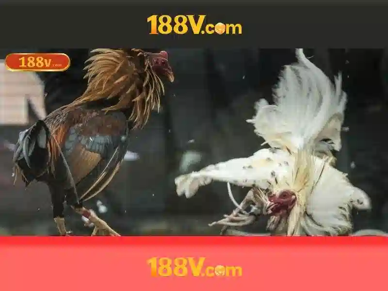 188v: một khái niệm trong thế giới số