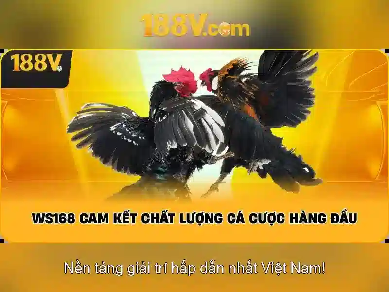 So do tuong tac dai ly voi 188v