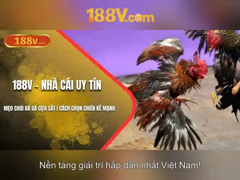 188v là gì