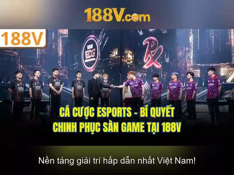 Kết luận