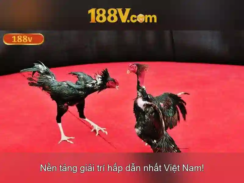 188v: khai niem cho nang luong va van toc trong thiet ke so