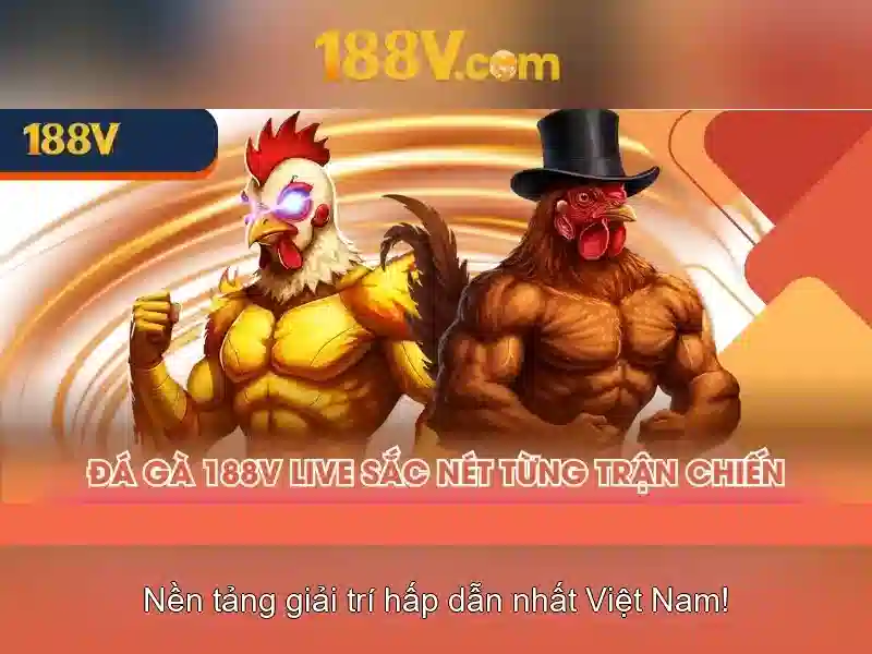 Nguồn gốc và ý nghĩa