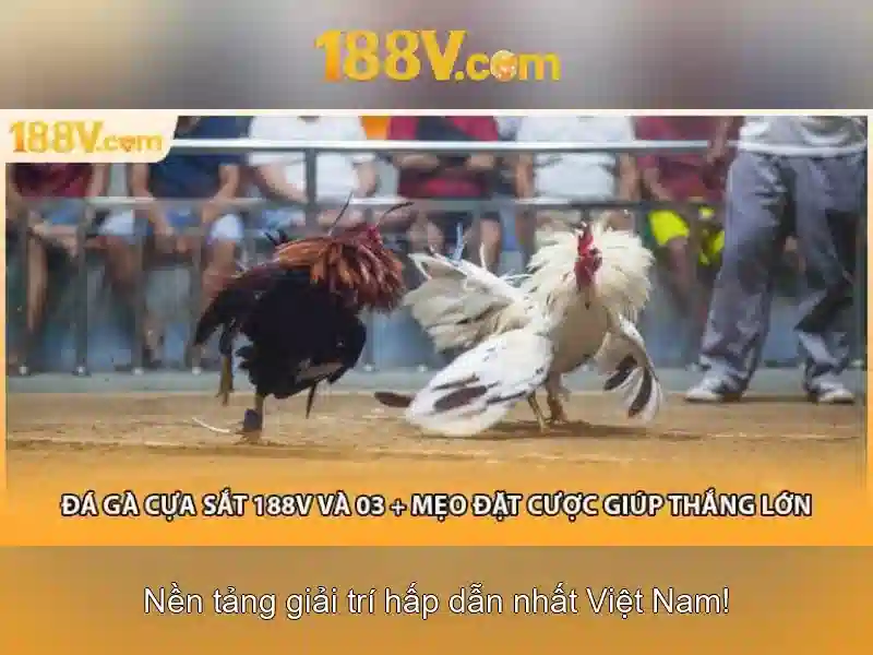 Ảnh hưởng đến văn hóa và phong cách sống