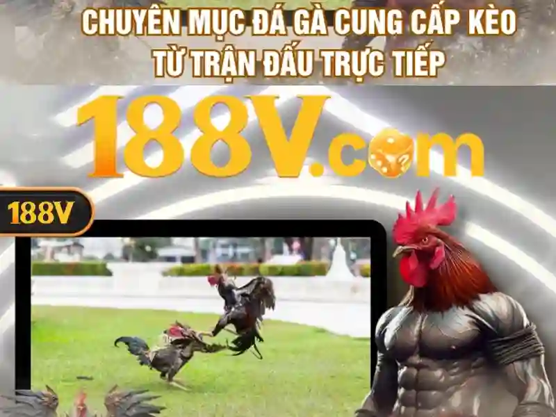 188v và hành trình của một khái niệm trong thế giới số